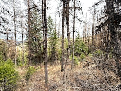 TBD Giveout Creek Rd, Wauconda, WA 98859 - photo 2