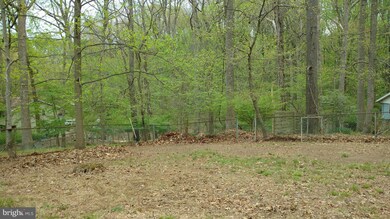 12806 Broadmore Rd, Silver Spring, MD 20904 - photo 5