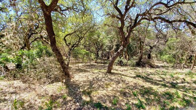 18911 Lookout Mountain Trail, Helotes, TX 78023 - photo 5
