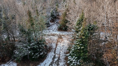 Lot 1 & 2 Thistle St, Upton, ME 04261 - photo 4