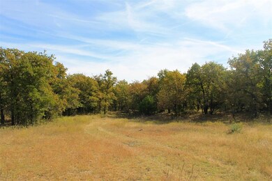 03 Indian Camp Rd, Weatherford, TX 76087 - photo 6