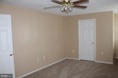 238 Greenleaf Rd, Strasburg, VA 22657 - photo 4