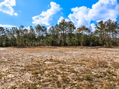 00 Springhill School Rd, Collins, MS 39428 - photo 6