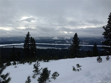 1320 Breckenridge Rd, Ronald, WA 98940 - photo 6