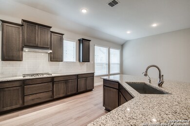 25735 Berberis, San Antonio, TX 78261 - photo 3