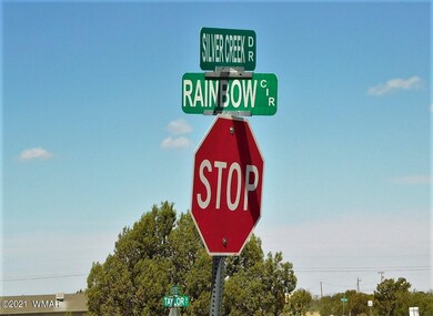 1854 Rainbow Cir Show Low, AZ 85901