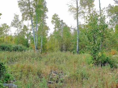 9223 Minnesota 61, Schroeder, MN 55613 - photo 4