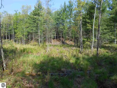 0 Powerline Rd unit 1847246, Whittemore, MI 48770 - photo 4