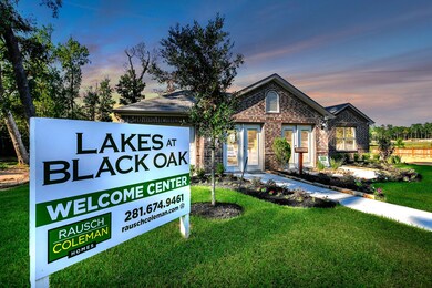 179 Courageous Side Way, Magnolia, TX 77354 - photo 2