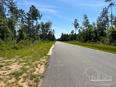 17 Steele Meadow Dr, Milton, FL 32571 - photo 4