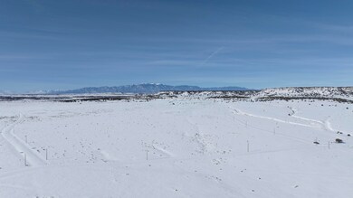DJI_20250121114834_0360_D