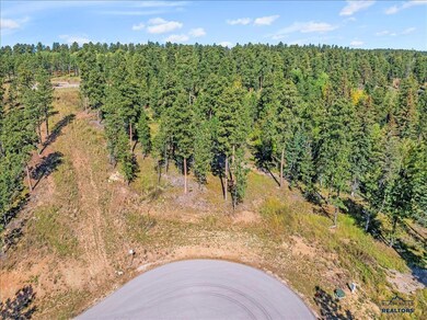 Lot 9 Other unit Meadow Wood Way, Lead, SD 57754 - photo 5