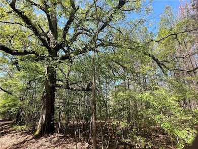 0 Nation Rd, Deville, LA 71328 - photo 6