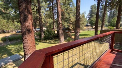 River Woods3