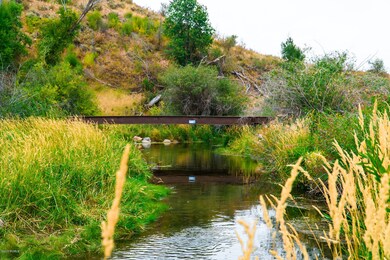 Bridge over the Stream