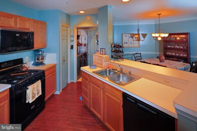 12461 Hayes Ct unit 103, Fairfax, VA 22033 - photo 6