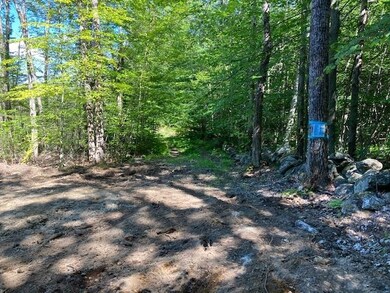 0 Old Carr Rd unit 20 4925108, Antrim, NH 03440 - photo 7