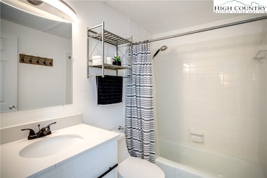 Lower Level Bathroom