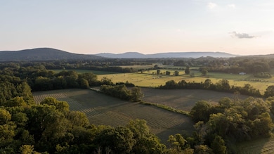 309 Gilliam Rd, Gurley, AL 35748 - photo 6