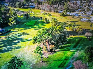 260 Live Oak Loop, Crescent City, FL 32112 - photo 6