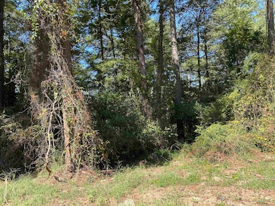 0 Lakewood Way NE unit 621 20146202, Conyers, GA 30012 - photo 3