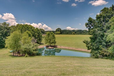 Pond from top of lot