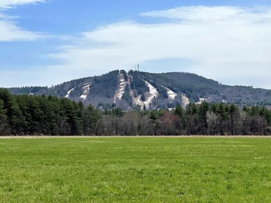 50 The Oaks, Henniker, NH 03242 - photo 5