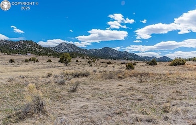 Lot 36 Marcey Rd, Westcliffe, CO 81252 - photo 6