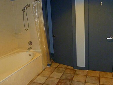 Garden Tub in the Master Bedroom