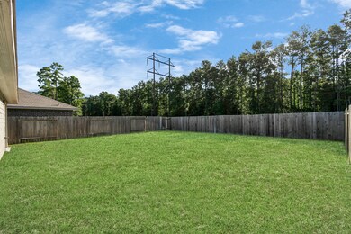 14226 W Rim Ln, Shenandoah, TX 77384 - photo 2