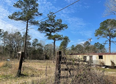 12700 Lewis Rd, Cleveland, TX 77328 - photo 2