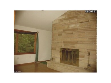 Family room Fireplace