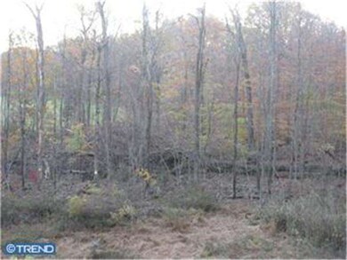 2115 Jacobs Sawmill Rd, East Greenville, PA 18041 - photo 6