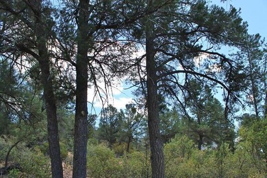 801 N Thunder Ridge Circle (4)