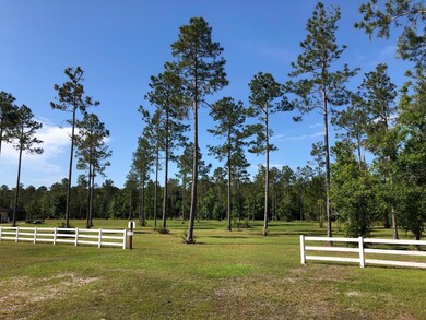 145 Ashton Oaks Dr, Saint Augustine, FL 32092 - photo 3