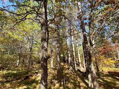 Lot 22 N Golden Eagle Trail, Barnes, WI 54873 - photo 2