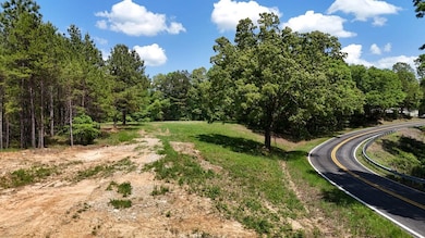 Silerton Rd, Toone, TN 38381 - photo 2