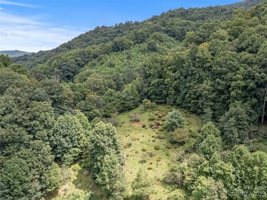 9999 Green Leaf Rd unit Tract A, Burnsville, NC 28714 - photo 6