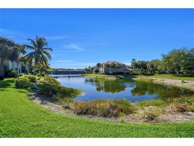 Lake view from rear of property