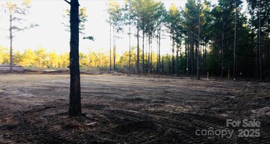 1561 Jones Rd, Kershaw, SC 29067 - photo 4