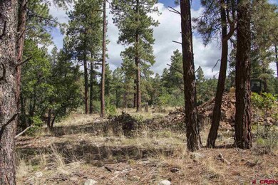 0 Calico Trail unit 702766, Durango, CO 81301 - photo 5