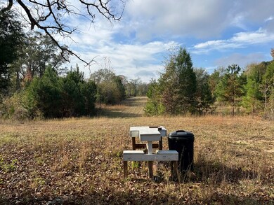 13962 State Highway 95 N, Abbeville, AL 36310 - photo 5