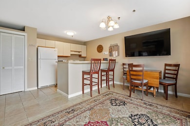 131 Lake St unit 214, Gilford, NH 03249 - photo 7