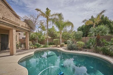 Tropical Backyard