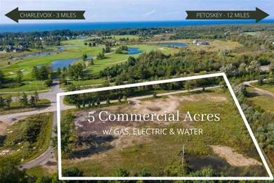 11758 U S 31, Charlevoix, MI 49720 - photo 4