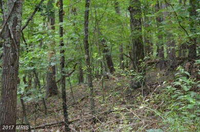 0 Lee Rd unit 1002574514, Basye, VA 22810 - photo 3