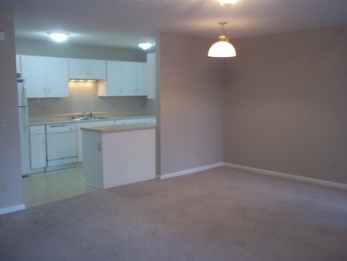 1129 Robin Hood Ct unit 304, Harrisonburg, VA 22801 - photo 4