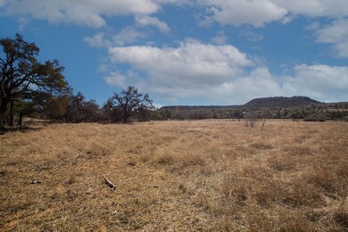 2 E Lower Crabapple Rd unit 2, Fredericksburg, TX 78624 - photo 6