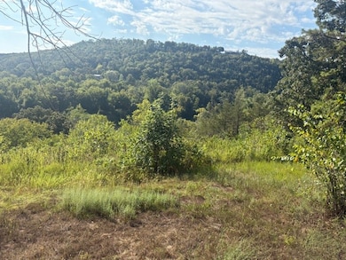 Lot 15 & 2A Highway 5, Norfork, AR 72658 - photo 6