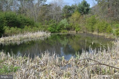 2315 Giles Mill Rd, Bunker Hill, WV 25413 - photo 7